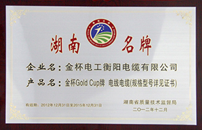 2012年度湖南名牌（2015年到期）.jpg