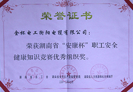 2012年度湖南省“安康杯”职工安全健康知识竞赛优秀组织奖.jpg